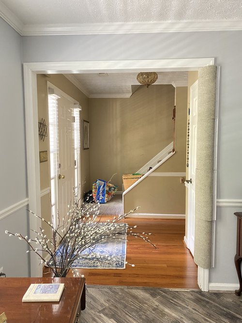 a living room entry way that has Kiwi's Climber installed, a floor-to-ceiling cat scratching and climbing post