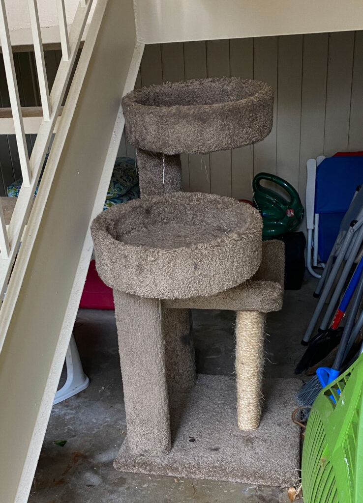 an ugly, dirty cat condo that is sitting in a junk pile under an apartment stairs