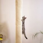 386199_kerbl_klettersack_climber_katzen_hs_03_9