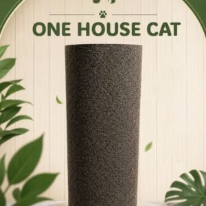 One House Cat